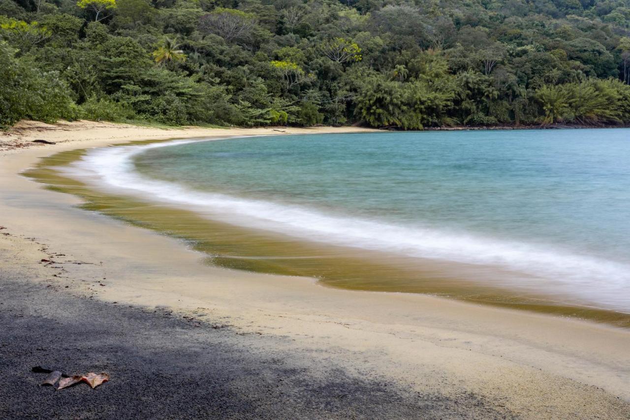Fauna Praia do Bananal Ngoại thất bức ảnh