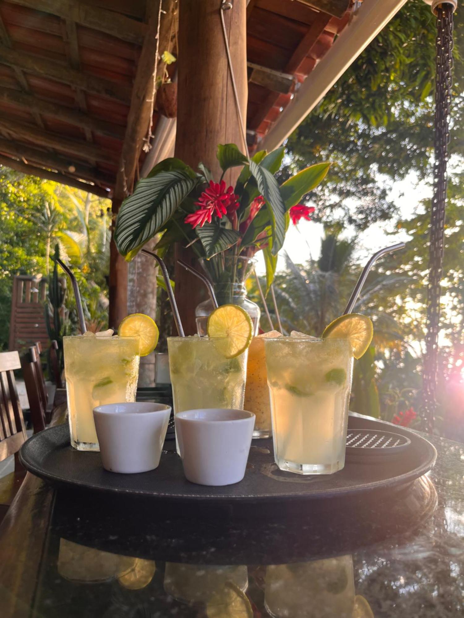 Fauna Praia do Bananal Ngoại thất bức ảnh