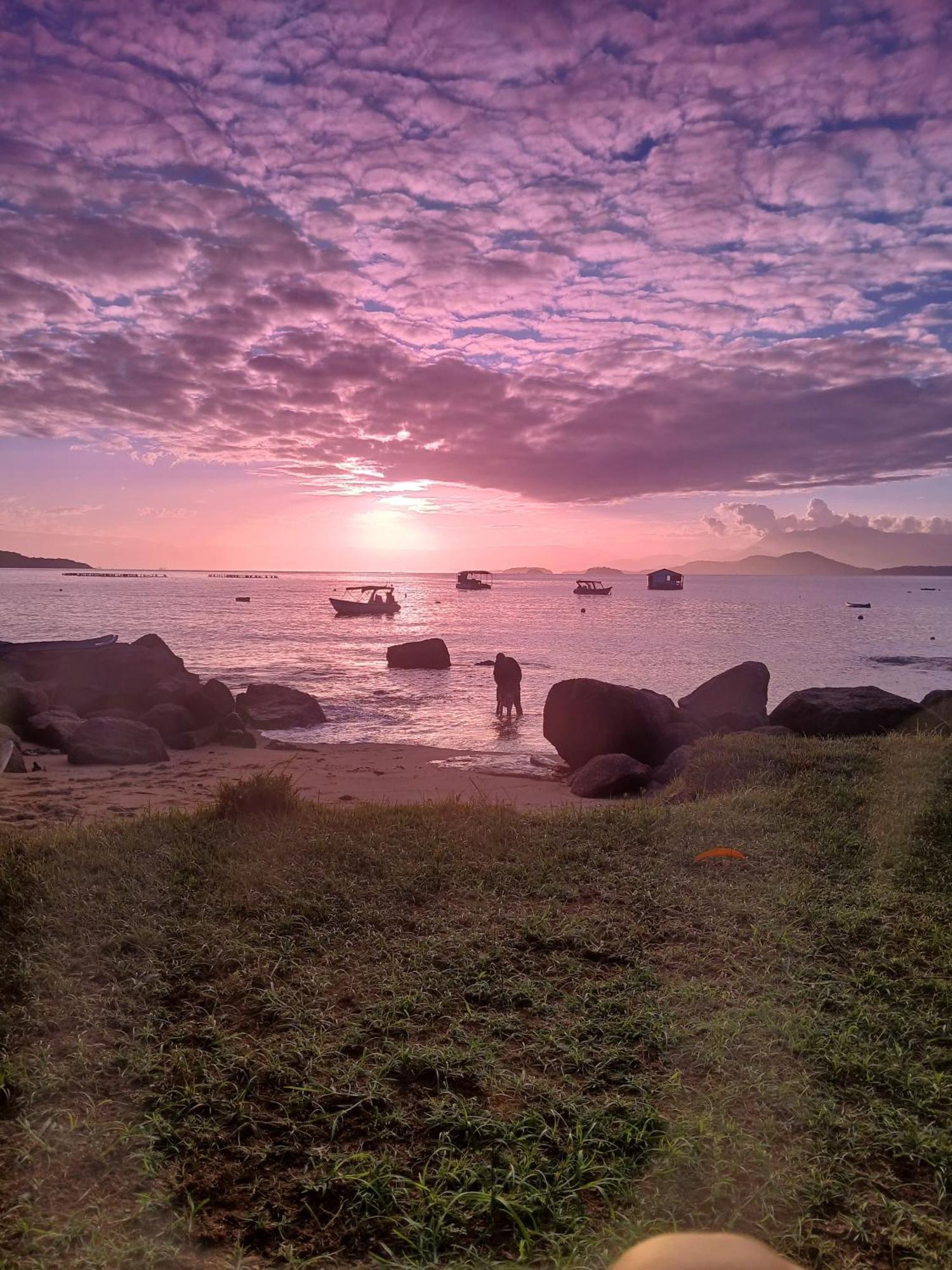 Fauna Praia do Bananal Ngoại thất bức ảnh